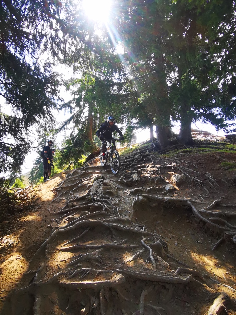 wurzelige Trails