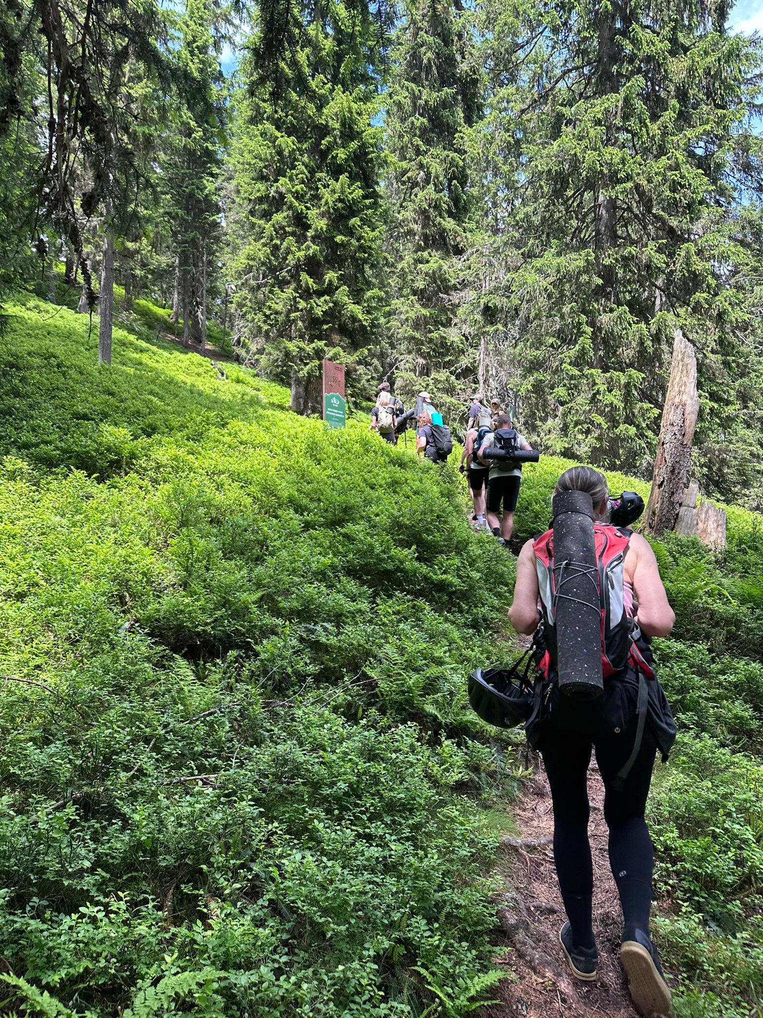 Summer Mountain Camp Fiss