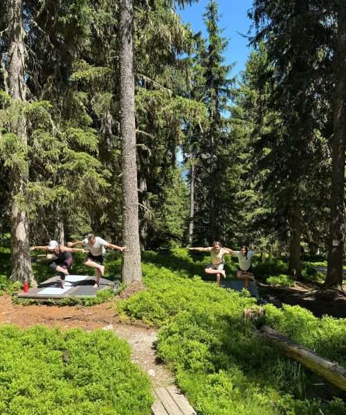 Bike & Yoga Camp Saalbach