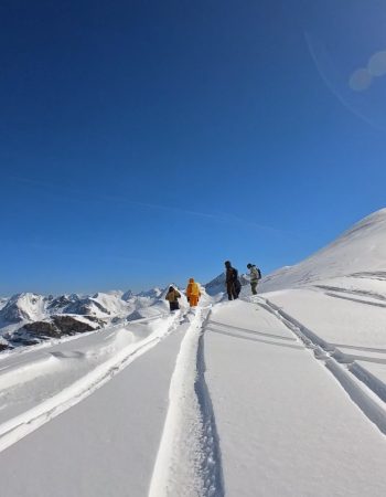 IMG_2912